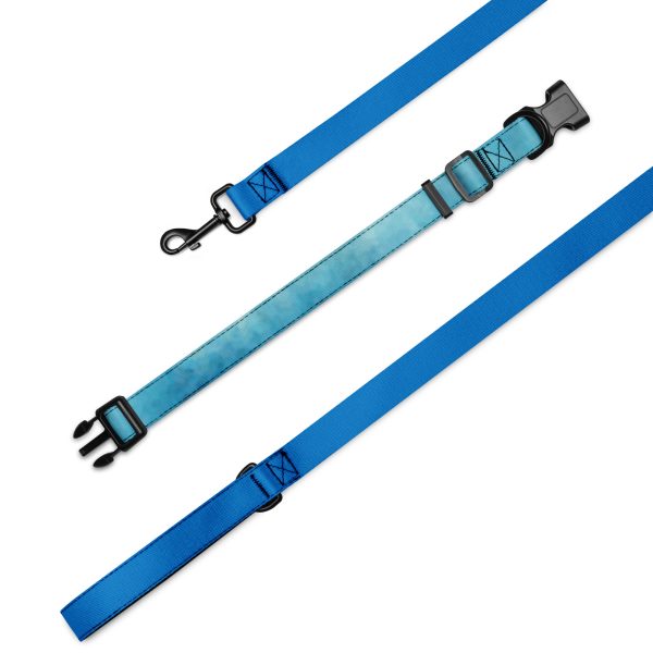 Hunde Leine und Halsband, Blau – Bild 3