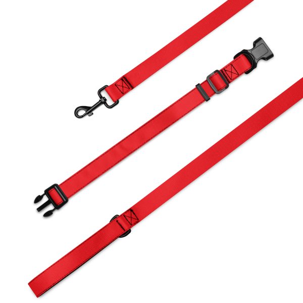 Hunde Halsband und Leine, Rot – Bild 3