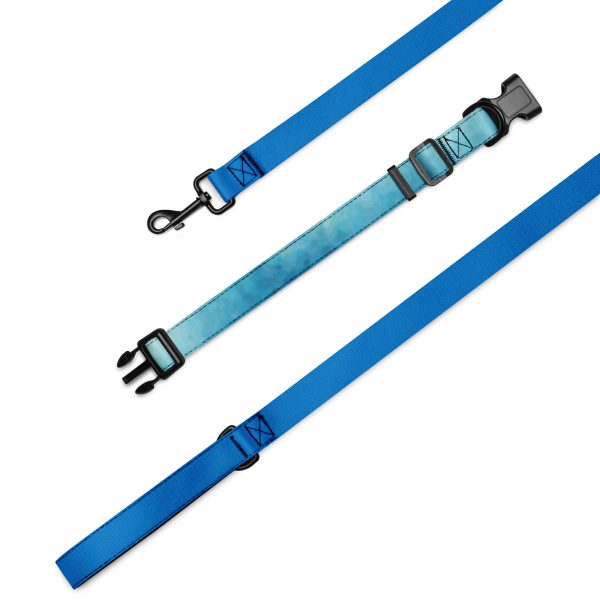 Hunde Leine und Halsband, Blau – Bild 2