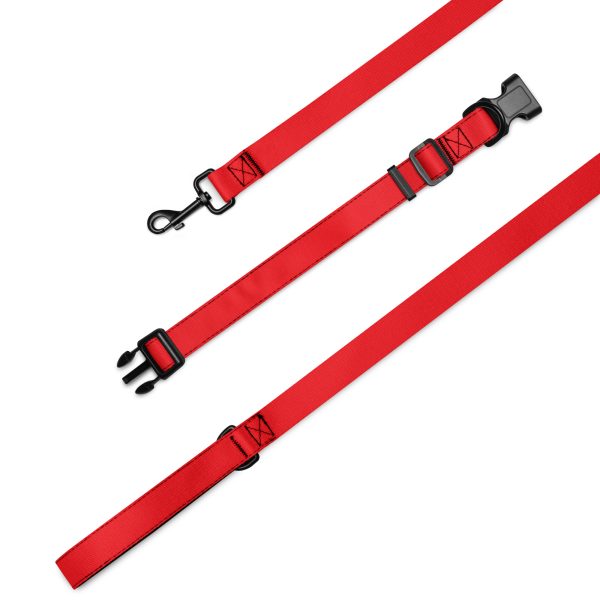 Hunde Halsband und Leine, Rot – Bild 2