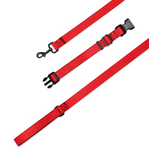 Hunde Halsband und Leine, Rot
